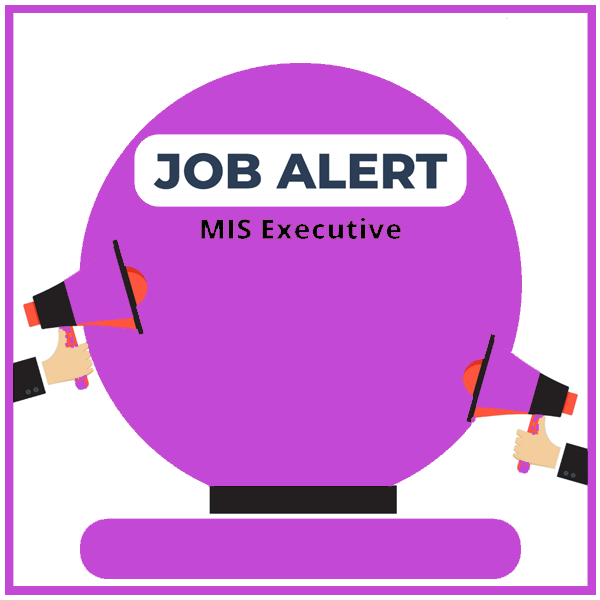 MIS Executive