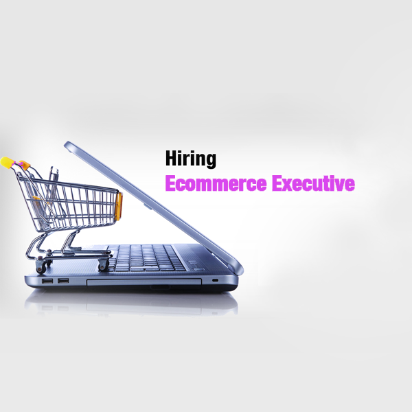 E Commerce Executive/ Manager