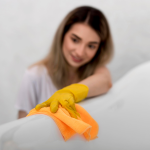 Sofa Cleaning