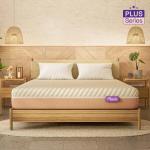 Wakefit-ErgoTech EcoLatex Plus Mattress