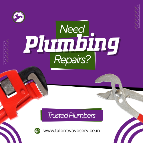 Professional Plumbing Services
